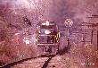 NYC 3098
